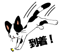 Marustars2 sticker #9042369