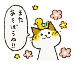 Cute cat 'Cyanpachi'. -Extra edition 2- sticker #9042788