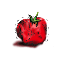 TOMATO 100% sticker #9045829
