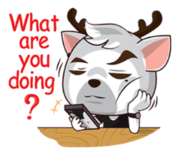 KaPeao&KaiJeow ENG sticker #9045978