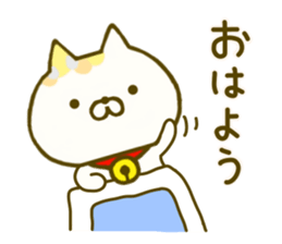 Comfort cat 4 sticker #9047026