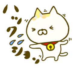 Comfort cat 4 sticker #9047027