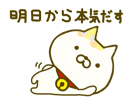 Comfort cat 4 sticker #9047048
