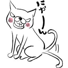 The daily right good day of white cat