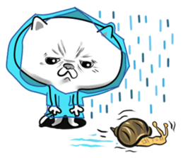 Queer  Cat sticker #9049479