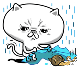 Queer  Cat sticker #9049480