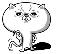 Queer  Cat sticker #9049482