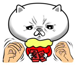 Queer  Cat sticker #9049489