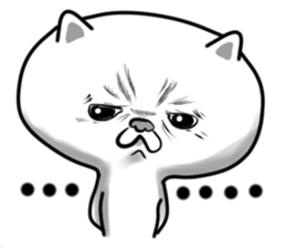 Queer  Cat sticker #9049490