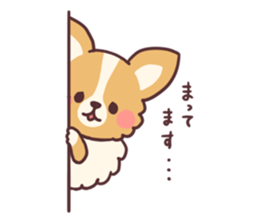 Small fluffy Chihuahua sticker #9052463
