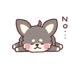 Small fluffy Chihuahua sticker #9052465