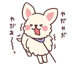 Small fluffy Chihuahua sticker #9052467