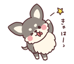 Small fluffy Chihuahua sticker #9052468