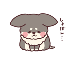 Small fluffy Chihuahua sticker #9052471