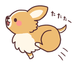 Small fluffy Chihuahua sticker #9052472