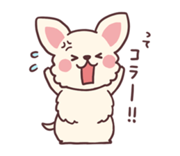 Small fluffy Chihuahua sticker #9052473