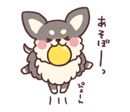 Small fluffy Chihuahua sticker #9052474
