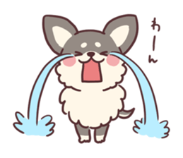 Small fluffy Chihuahua sticker #9052477