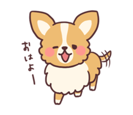 Small fluffy Chihuahua sticker #9052478