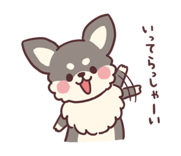Small fluffy Chihuahua sticker #9052480