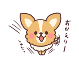 Small fluffy Chihuahua sticker #9052481