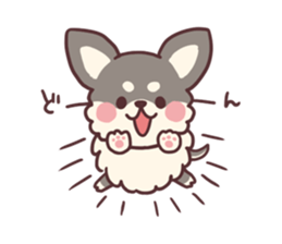 Small fluffy Chihuahua sticker #9052486
