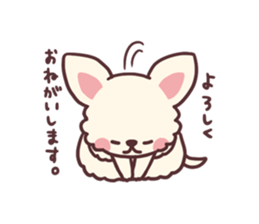 Small fluffy Chihuahua sticker #9052488