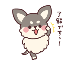 Small fluffy Chihuahua sticker #9052489