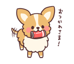Small fluffy Chihuahua sticker #9052490