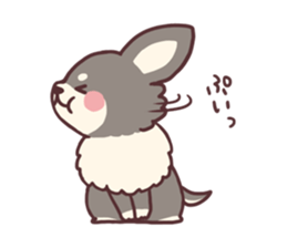 Small fluffy Chihuahua sticker #9052495