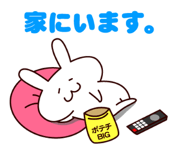 Cute sticker of everyday rabbit sticker #9055541