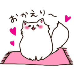 To important person Fluffy Cat