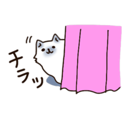 To important person Fluffy Cat sticker #9060597