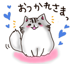 To important person Fluffy Cat sticker #9060598