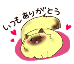 To important person Fluffy Cat sticker #9060604