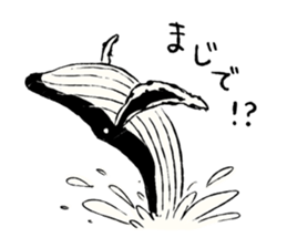 Animals of the Arctic & the Antarctic 4 sticker #9063281