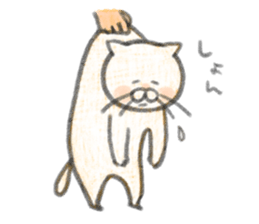 Cat and oranges sticker #9064254