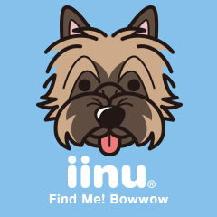 iinu - Cairn Terrier