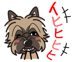 iinu - Cairn Terrier sticker #9064981
