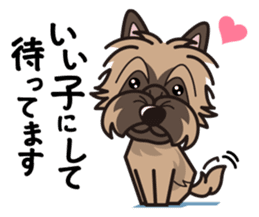 iinu - Cairn Terrier sticker #9064984