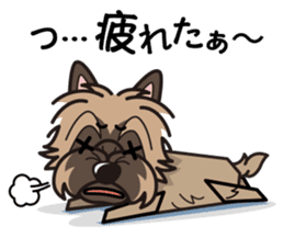 iinu - Cairn Terrier sticker #9064985