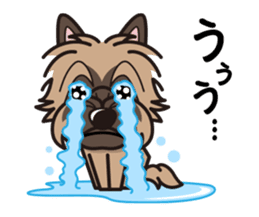 iinu - Cairn Terrier sticker #9064987