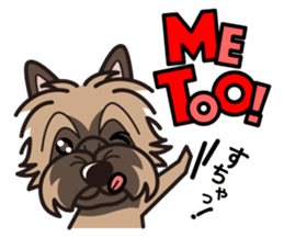 iinu - Cairn Terrier sticker #9064989