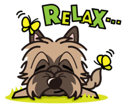 iinu - Cairn Terrier sticker #9064994