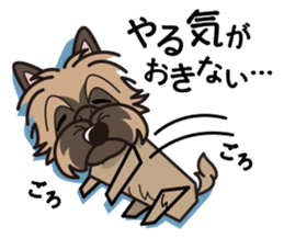 iinu - Cairn Terrier sticker #9064998