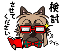 iinu - Cairn Terrier sticker #9065001