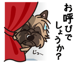 iinu - Cairn Terrier sticker #9065005