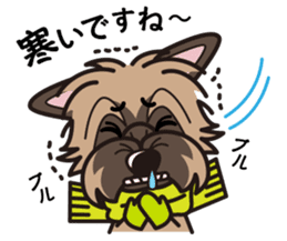 iinu - Cairn Terrier sticker #9065006
