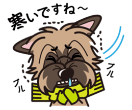 iinu - Cairn Terrier sticker #9065006