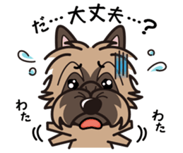 iinu - Cairn Terrier sticker #9065008